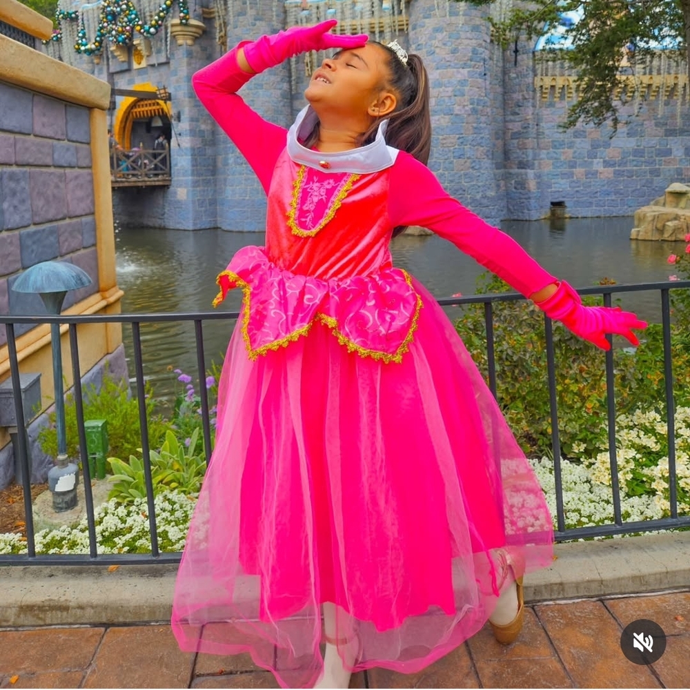 Sleeping Beauty Dress